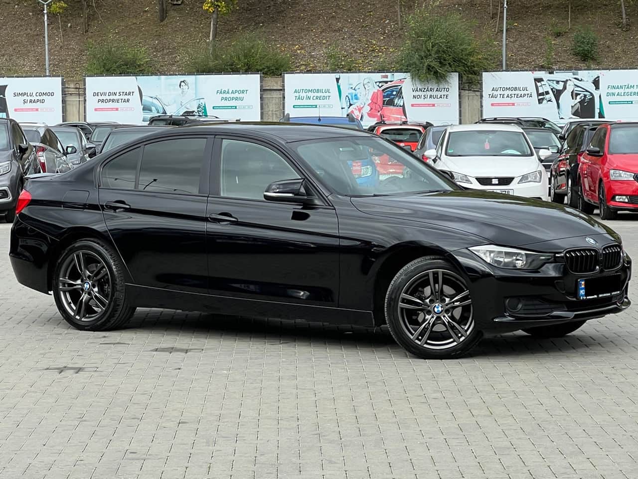 2013 BMW 316