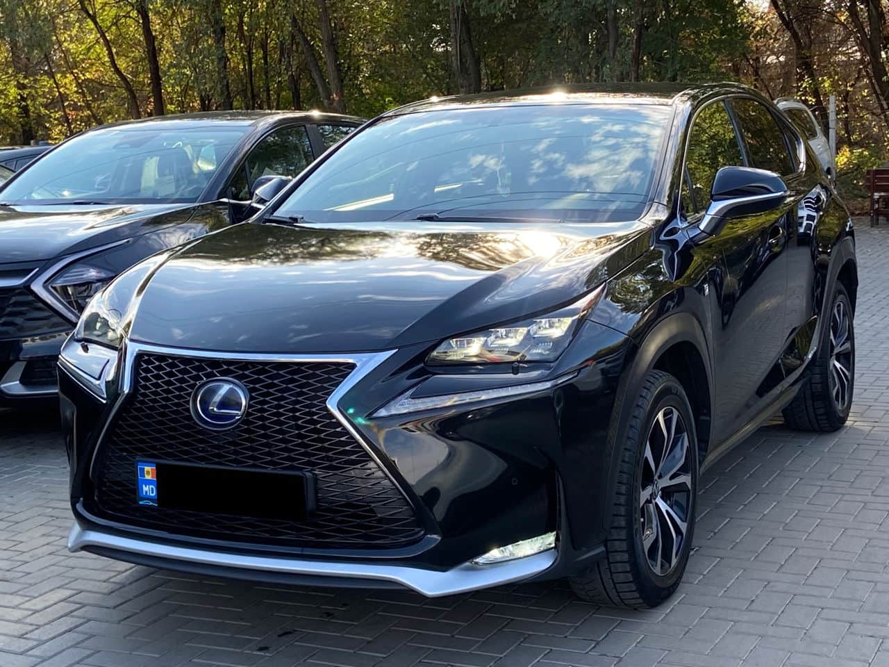 Lexus NX 300H 2017