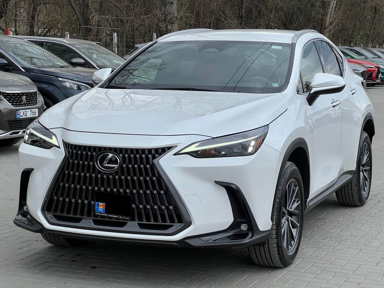 2023 Lexus NX 250