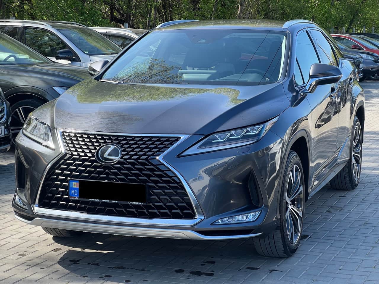 Lexus RX 300 2022