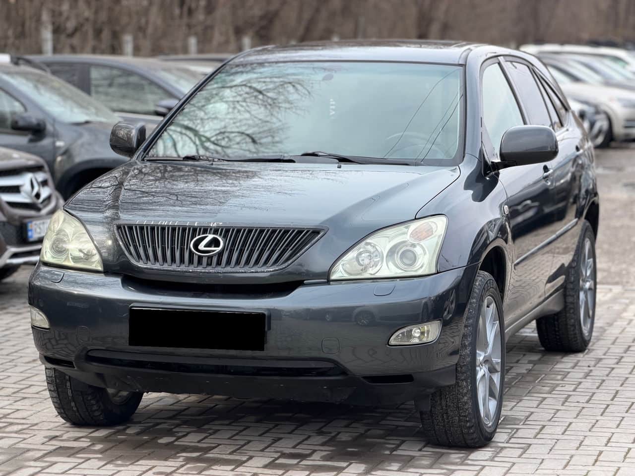 Lexus RX 300 2005