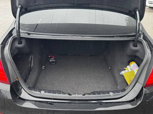 2015 BMW 520 — Miniatură 18