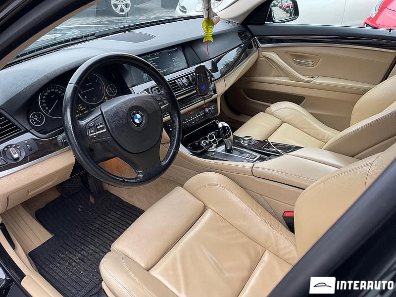 2010 BMW 520 — Miniatură 7