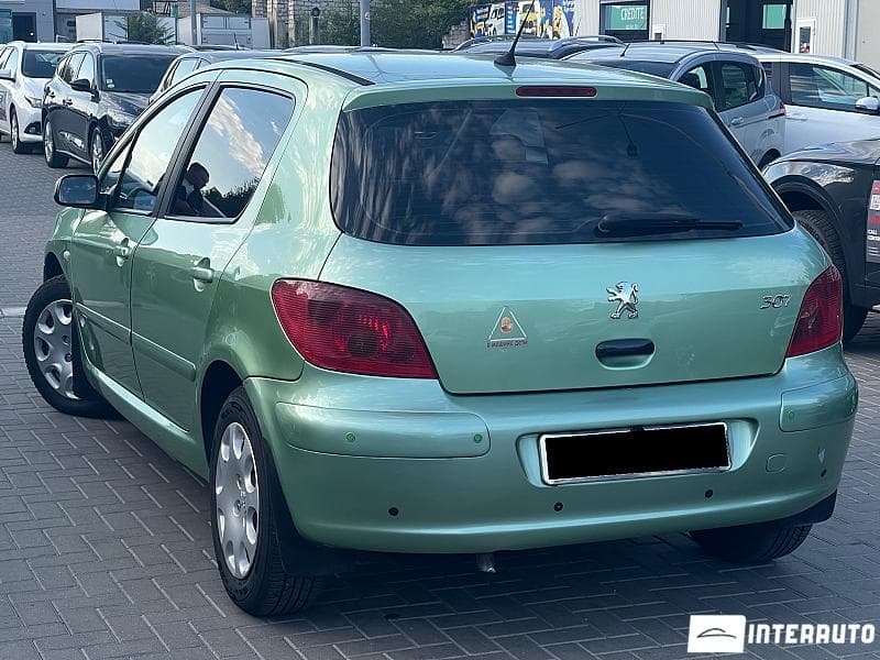 2002 Peugeot 307 — Miniatură 2