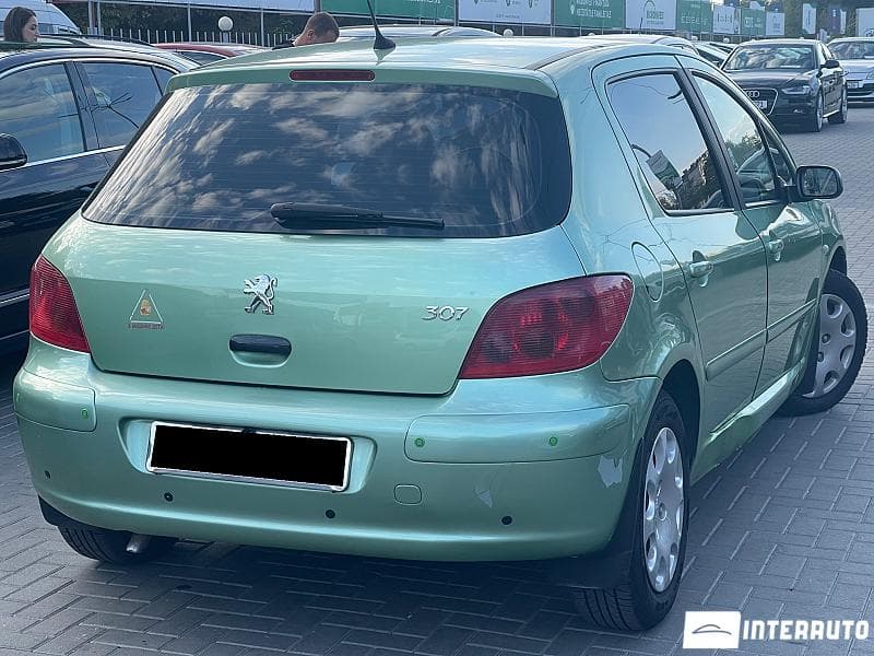 2002 Peugeot 307 — Miniatură 3