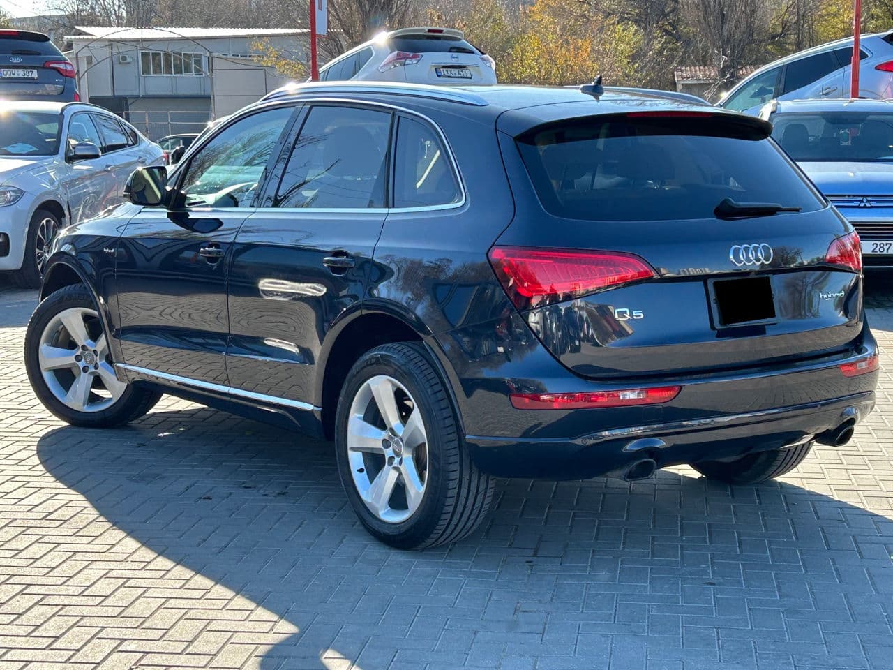 Audi Q5 2013 — Миниатюра 2
