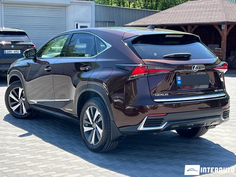 Lexus NX 300H 2019 — Миниатюра 2
