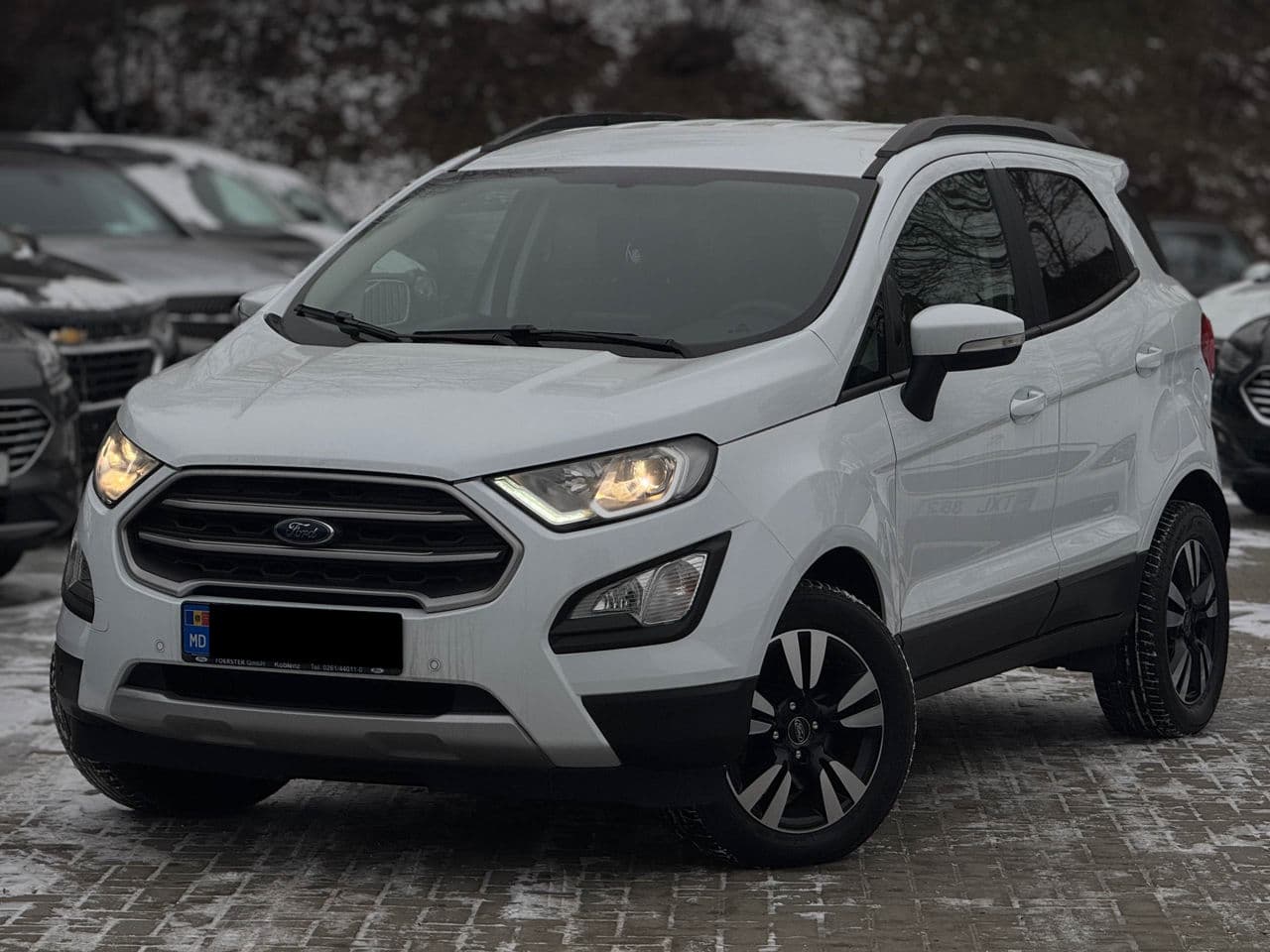 Ford Ecosport 2019 — Миниатюра 2