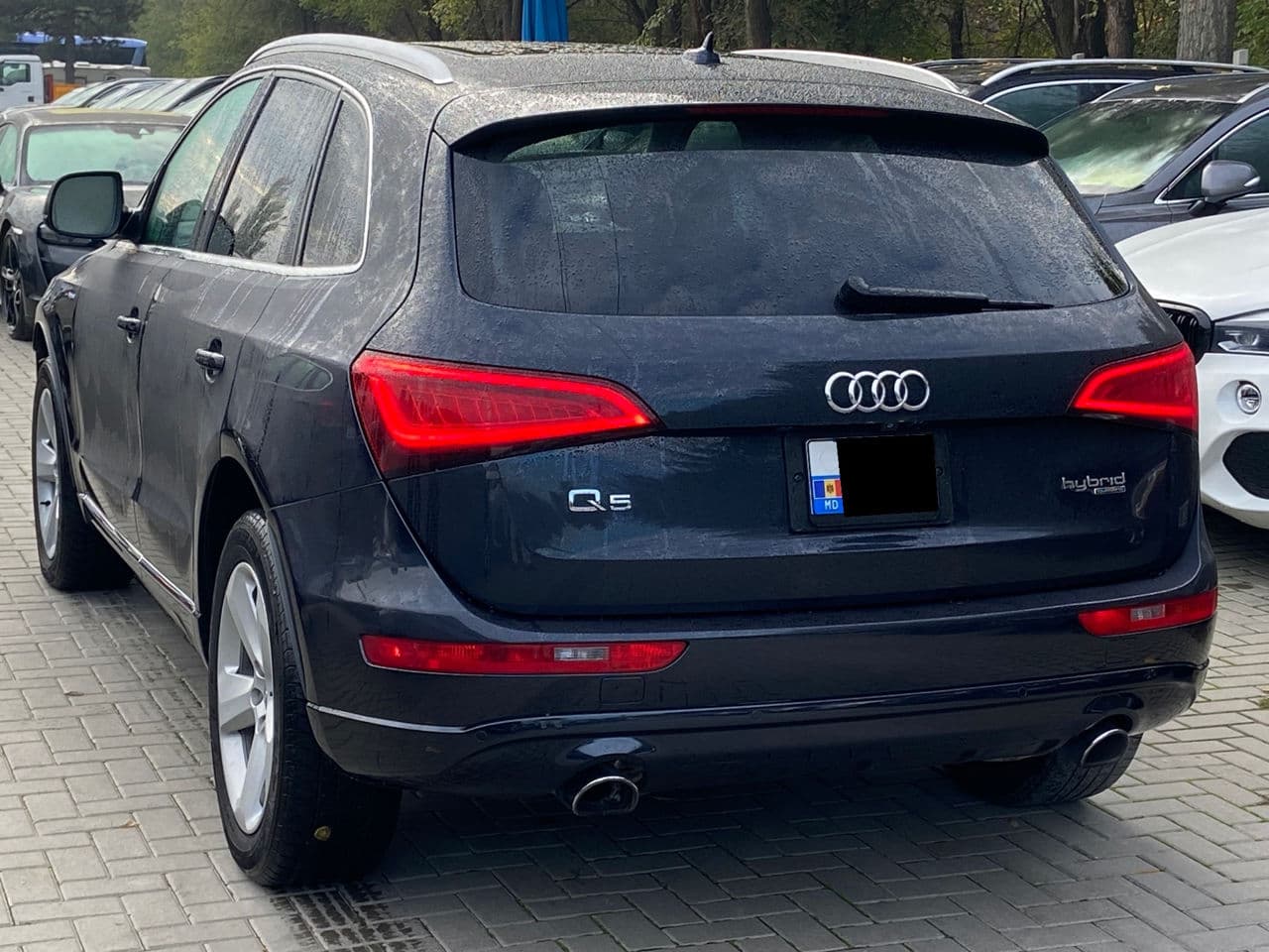 Audi Q5 2013 — Миниатюра 2