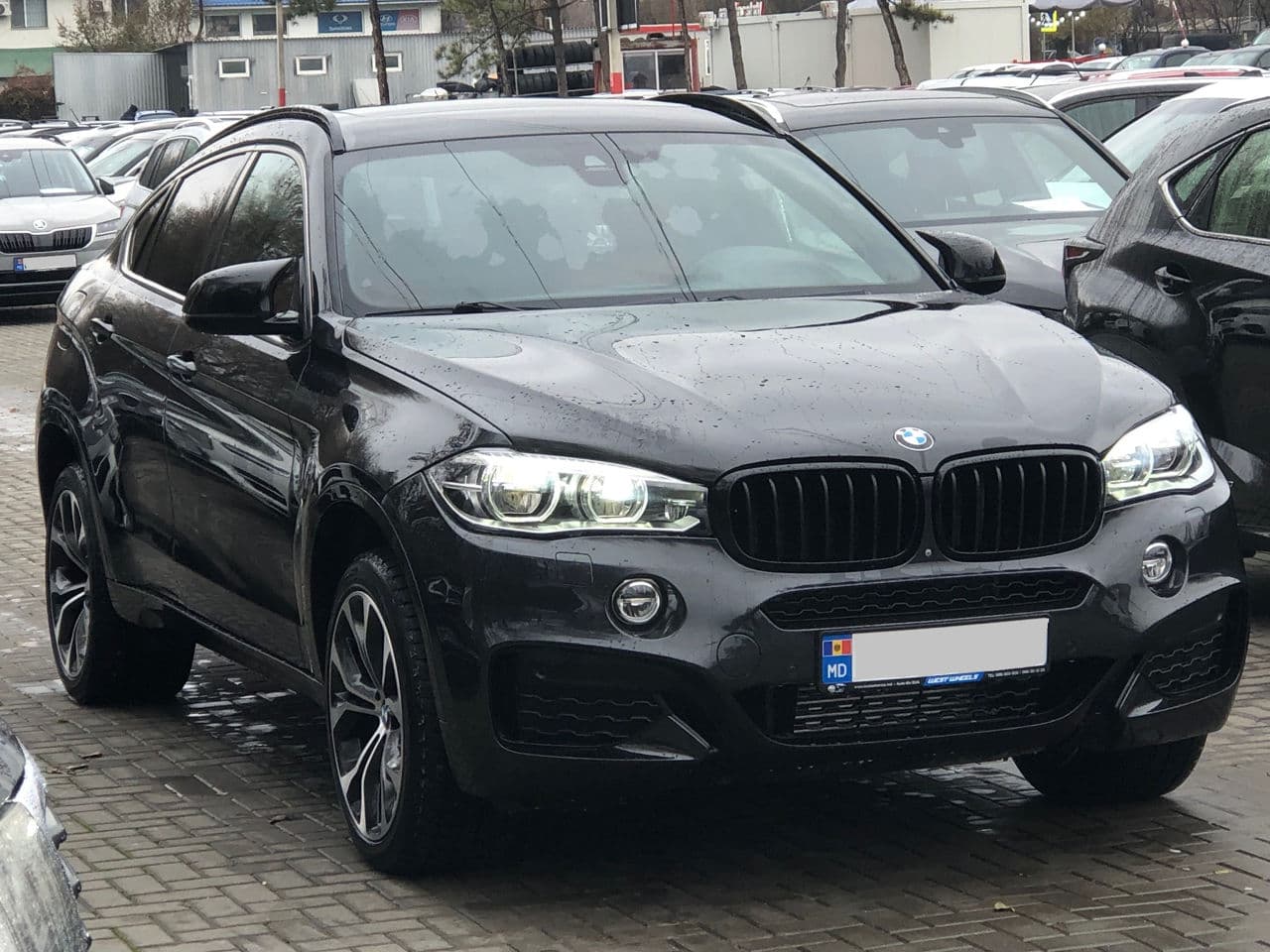 BMW X6 3.5i 2017 — Миниатюра 3