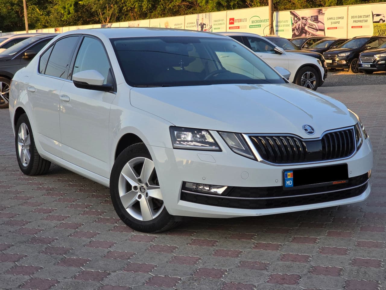 Skoda Octavia 2019 — Миниатюра 4
