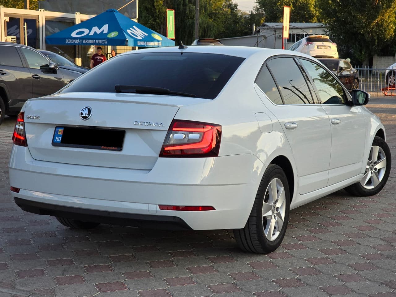 Skoda Octavia 2019 — Миниатюра 3