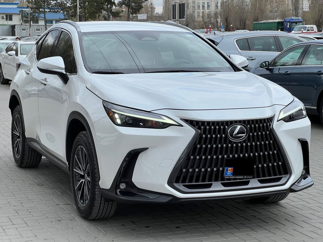 Lexus NX 250 2023 — Миниатюра 3