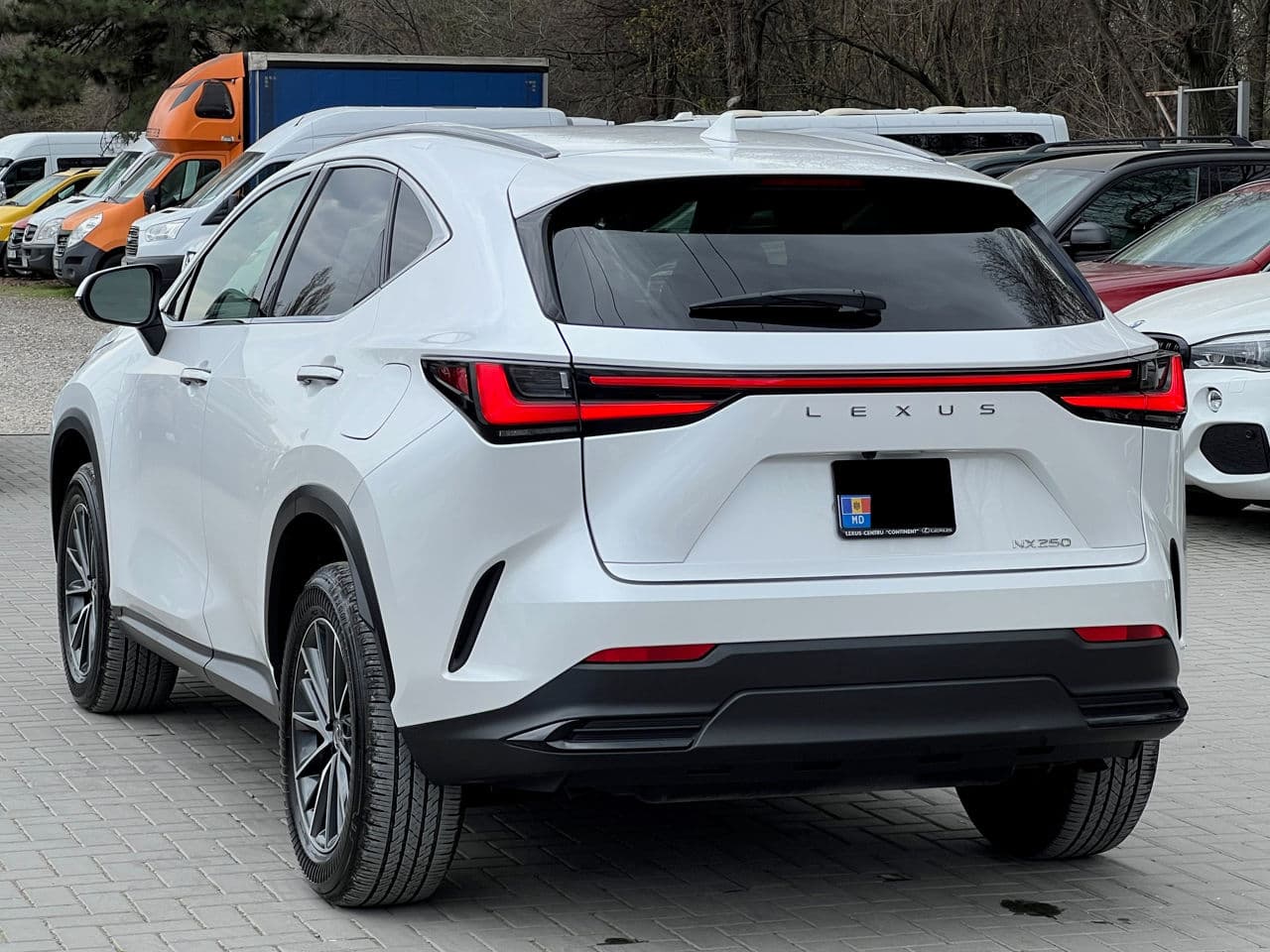 Lexus NX 250 2023 — Миниатюра 4