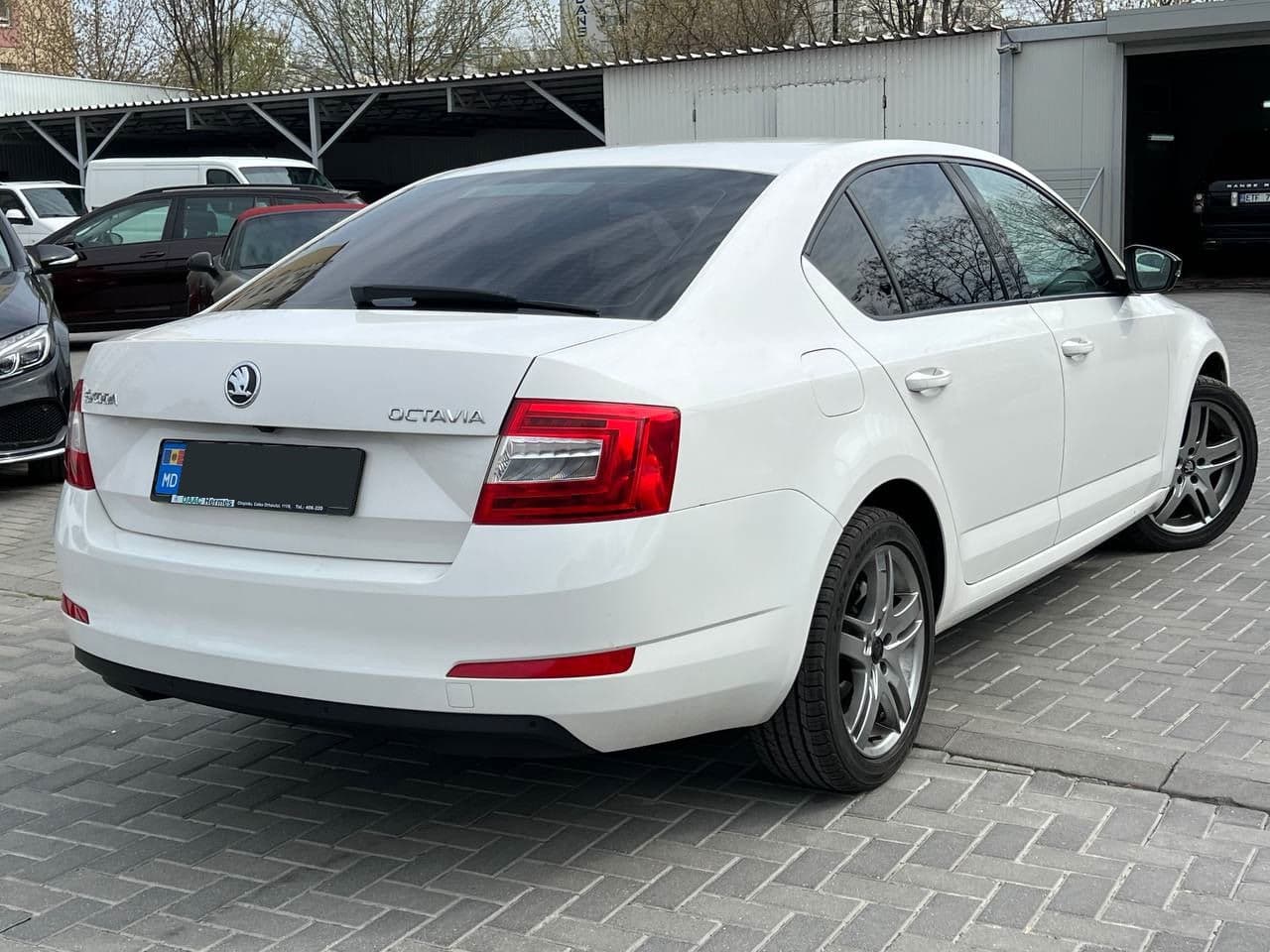 Skoda Octavia 2014 — Миниатюра 4