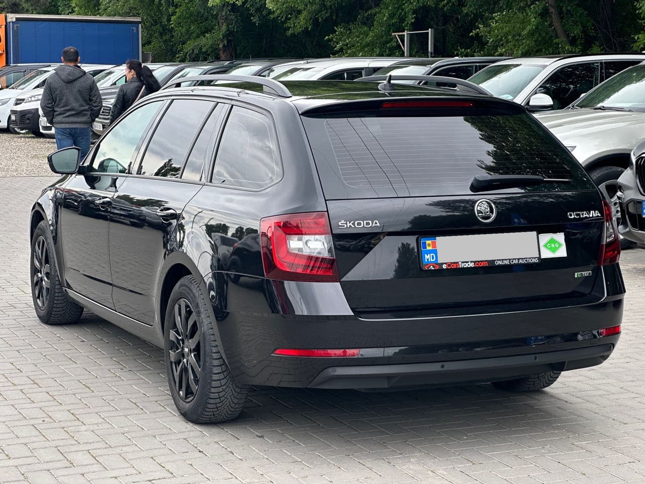 Skoda Octavia 2019 — Миниатюра 4