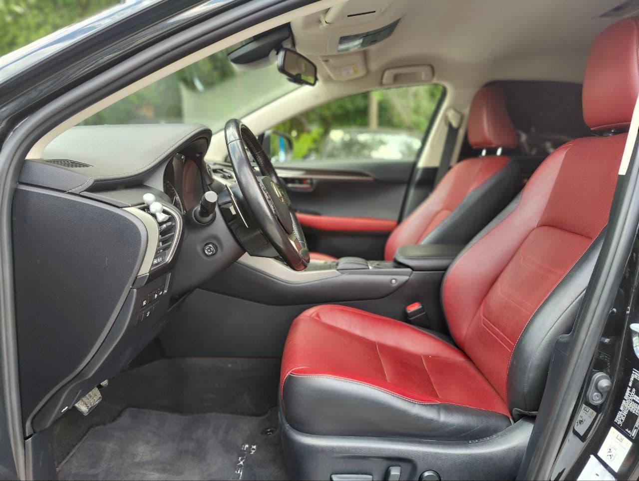 Lexus NX 300H 2019 — Миниатюра 5