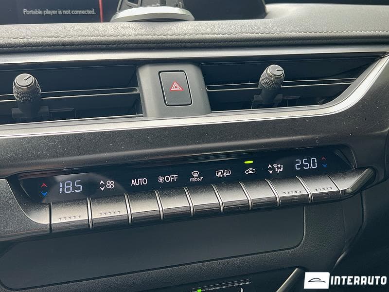 Lexus UX 300e 2021 — Миниатюра 17