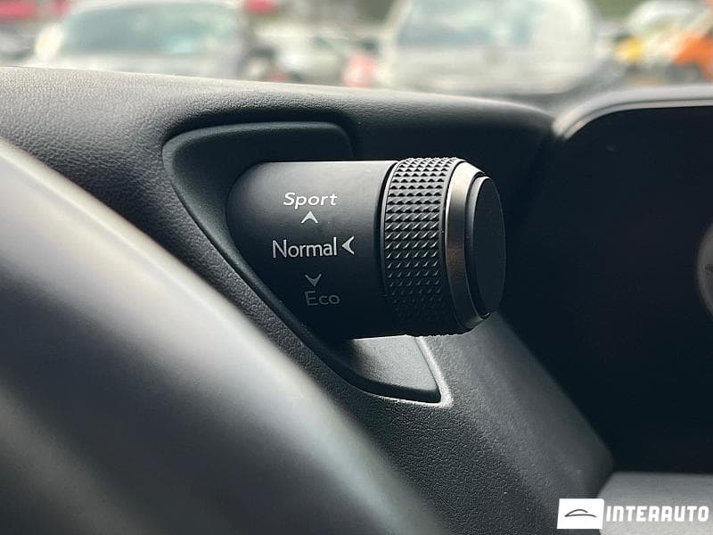 Lexus UX 300e 2021 — Миниатюра 11