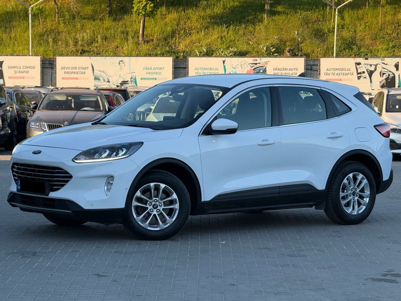 Ford Kuga 2020 — Миниатюра 2