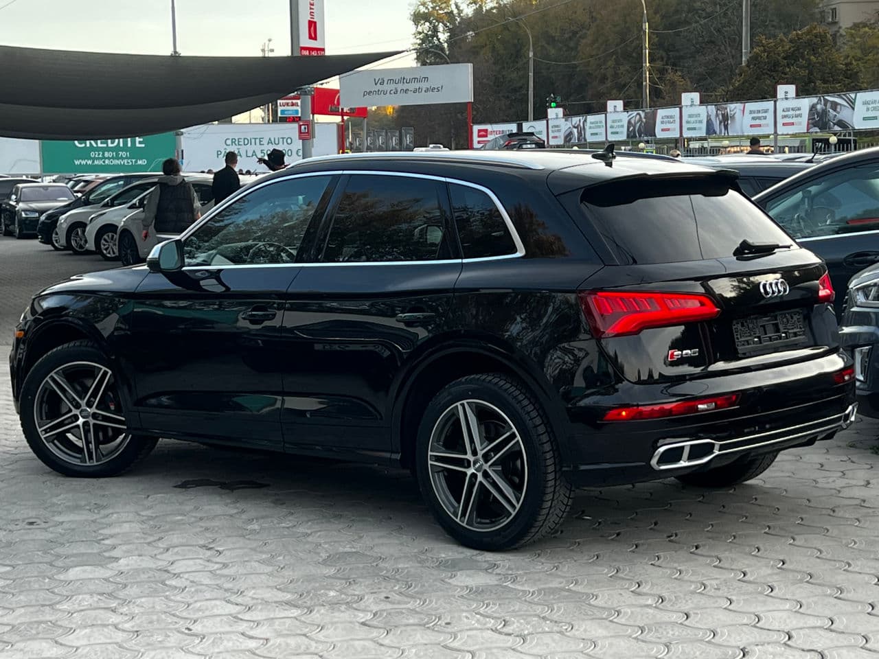 Audi SQ5 2019 — Миниатюра 2