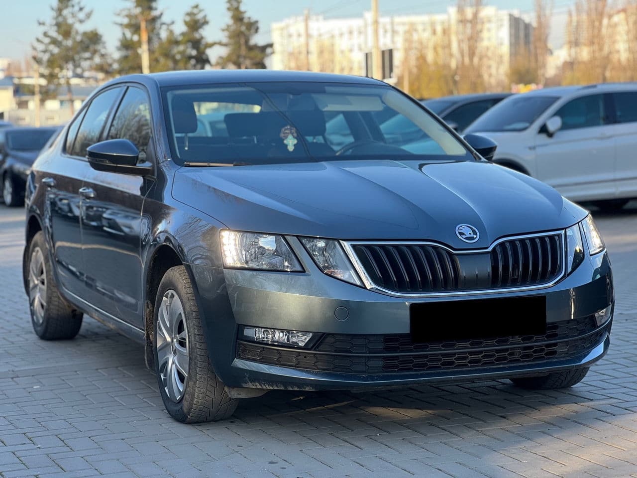Skoda Octavia 2019 — Миниатюра 3