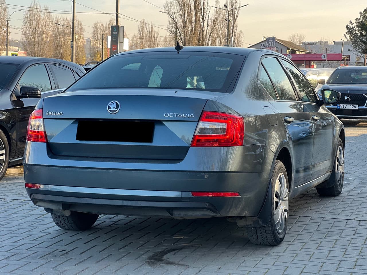 Skoda Octavia 2019 — Миниатюра 4