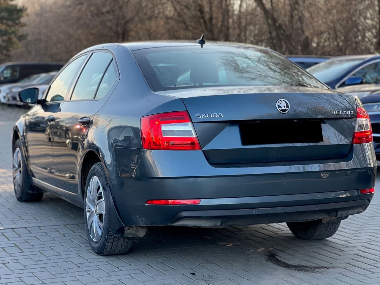 Skoda Octavia 2019 — Миниатюра 2