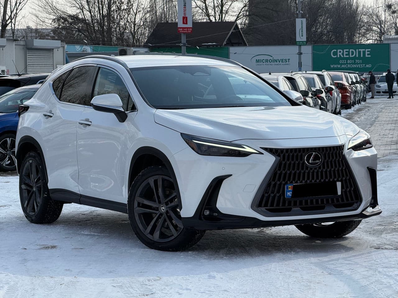 Lexus NX 350H 2024 — Миниатюра 2