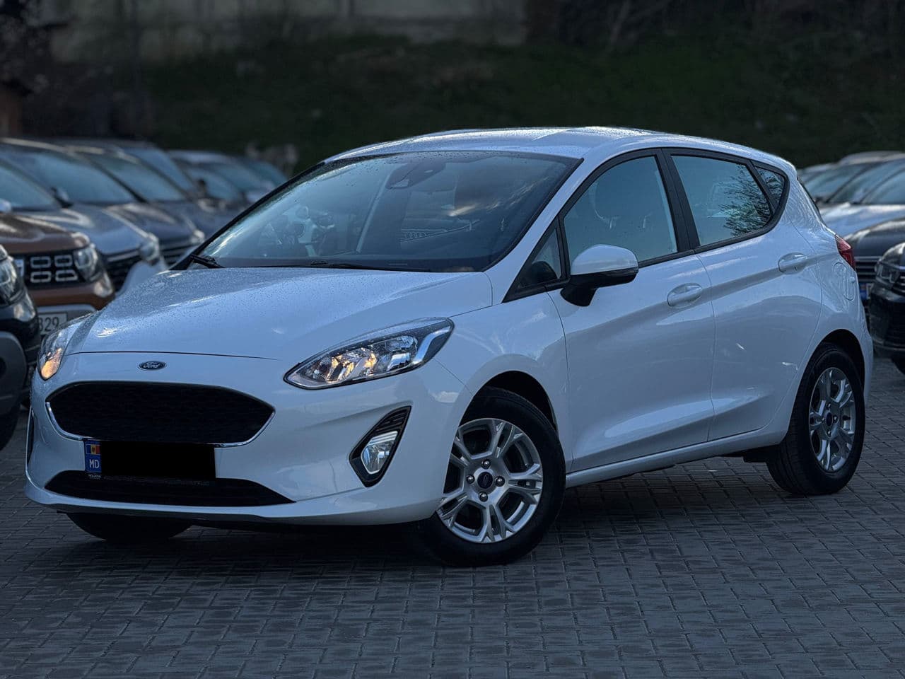 Ford Fiesta 2018 — Миниатюра 2