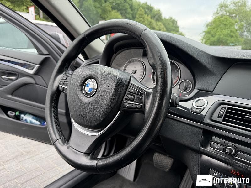 2011 BMW 530 — Miniatură 7