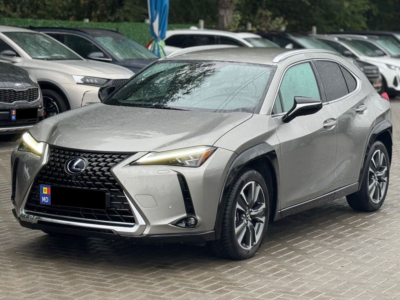Lexus UX 250h