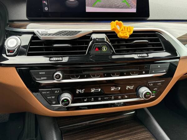 2019 BMW 530 — Miniatură 12