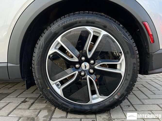 ford Mustang Mach-E 2021