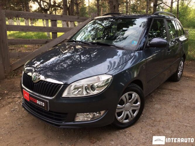 skoda Fabia 2010