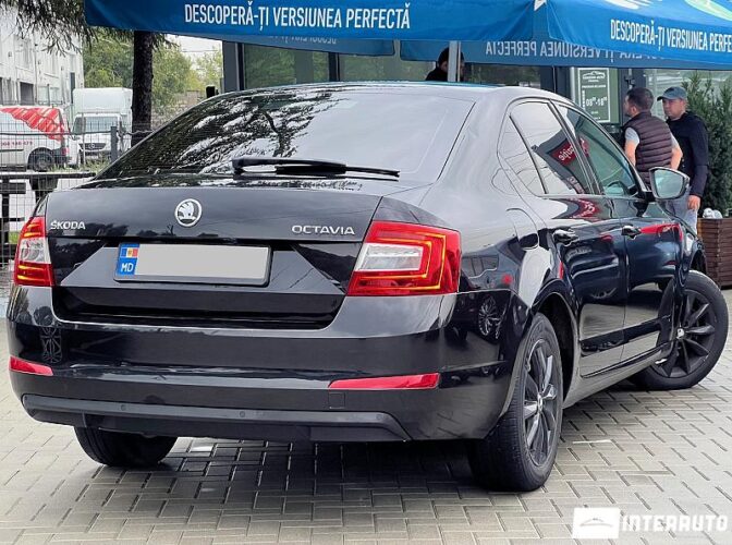 Skoda Octavia 28 skoda Octavia 2013