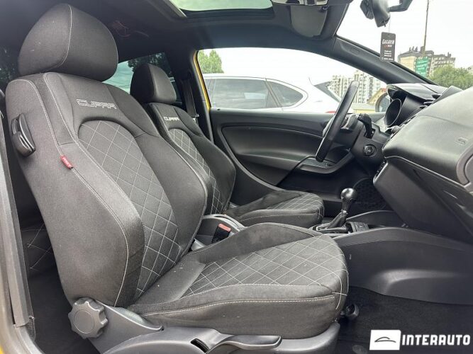 seat Ibiza Cupra 2010