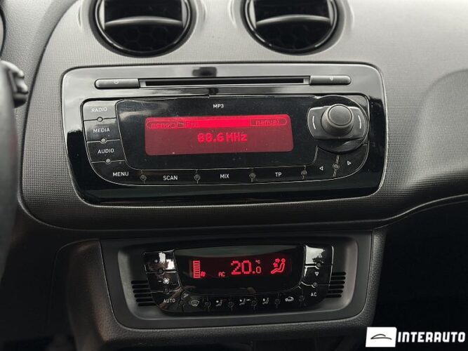 seat Ibiza Cupra 2010