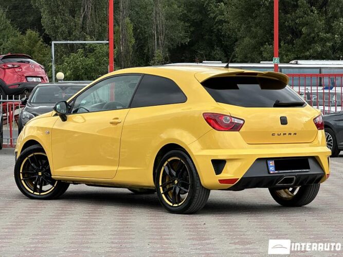 seat Ibiza Cupra 2010