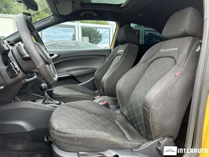 seat Ibiza Cupra 2010