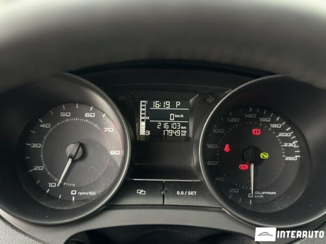 seat Ibiza Cupra 2010