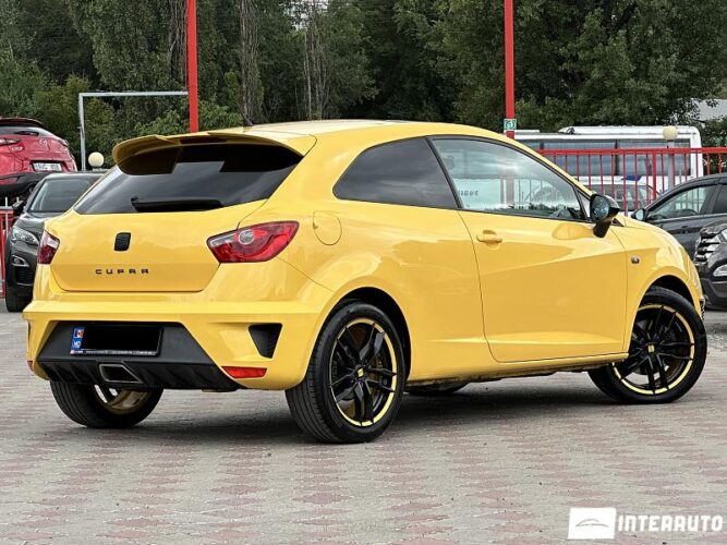 seat Ibiza Cupra 2010