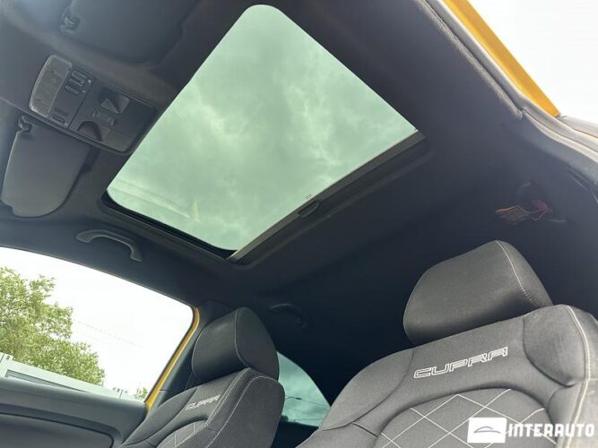 seat Ibiza Cupra 2010