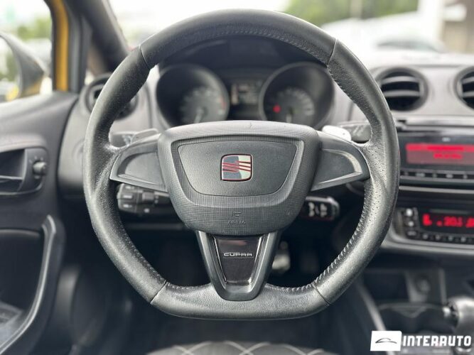 seat Ibiza Cupra 2010
