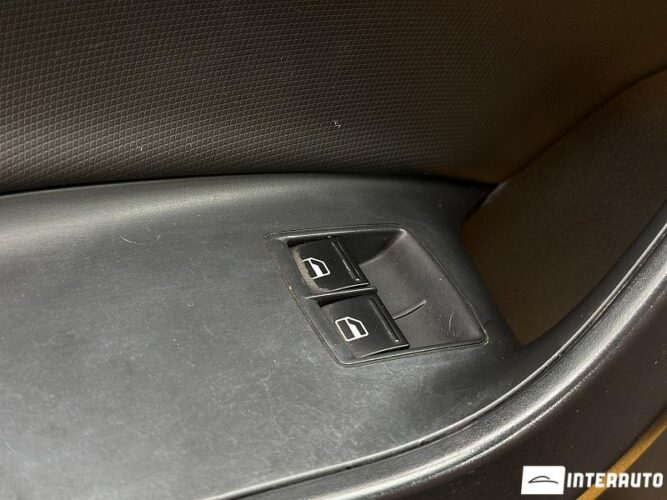 seat Ibiza Cupra 2010