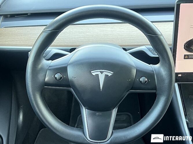 tesla Model 3 2019