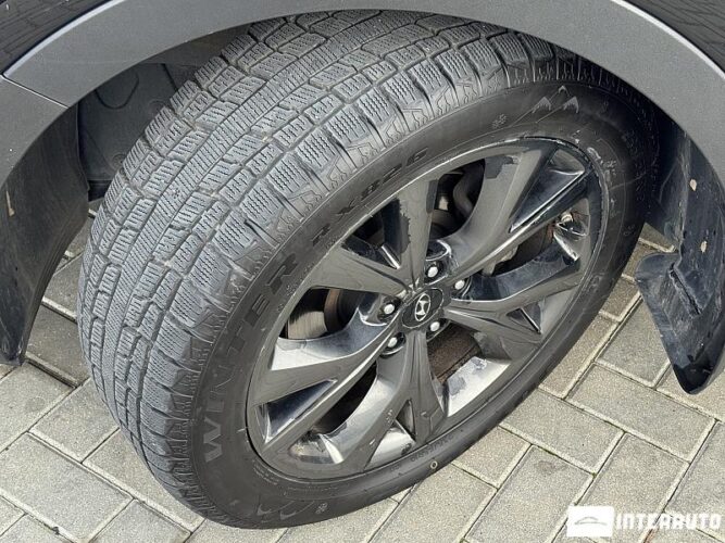 Hyundai Santa Fe 52 interauto-car