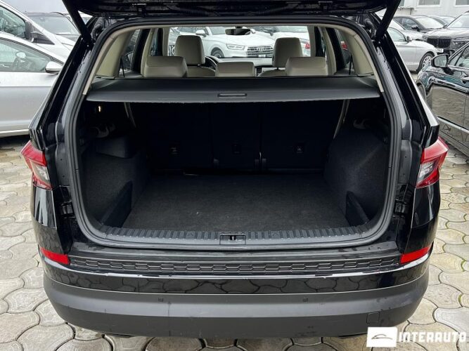 Skoda Kodiaq 50 skoda Kodiaq 2018