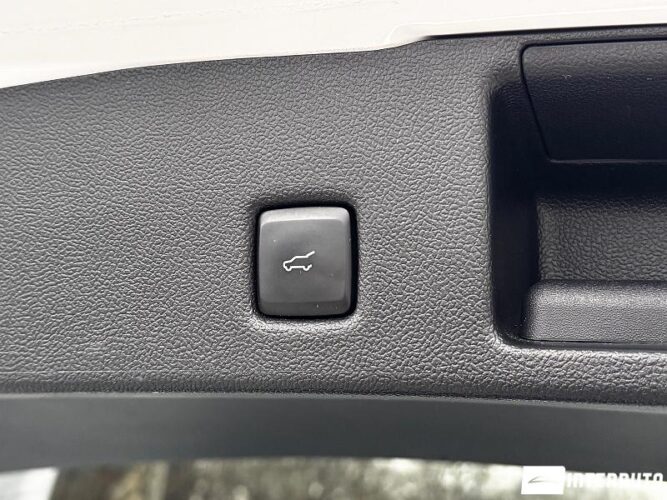 Ford Kuga 62 ford Kuga 2022