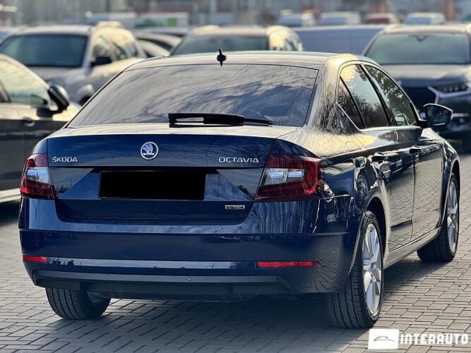 skoda Octavia 2017